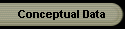 Conceptual Data